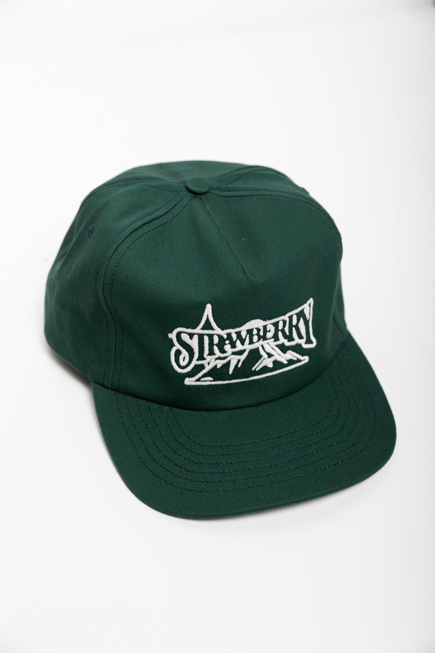 Forest Mountain Snapback
