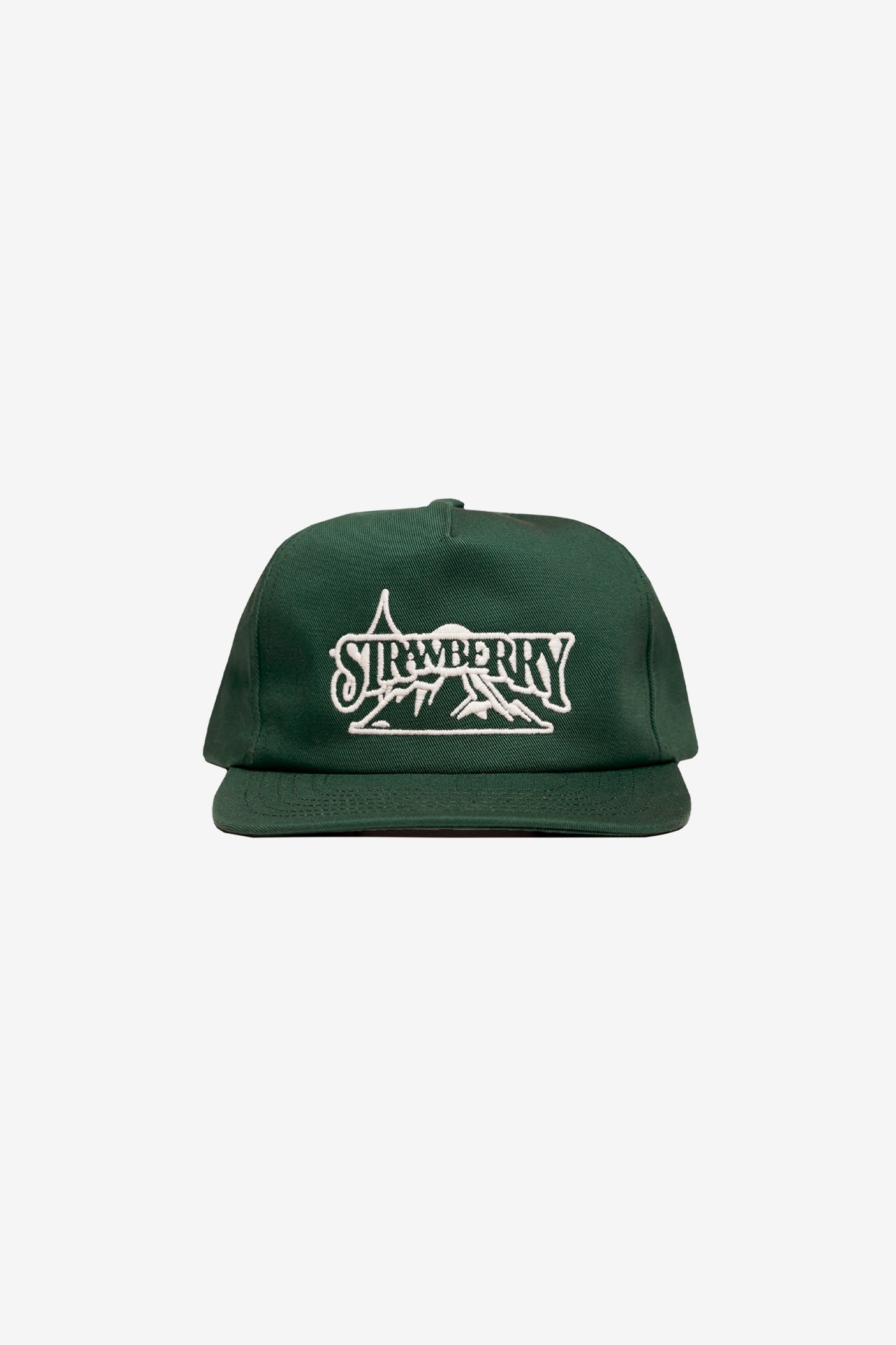 Forest Mountain Snapback