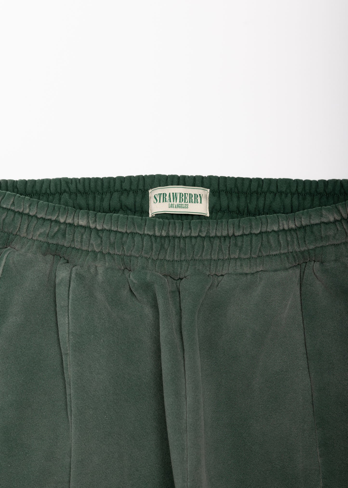 Forest Sunfaded Pleated Sweatpant