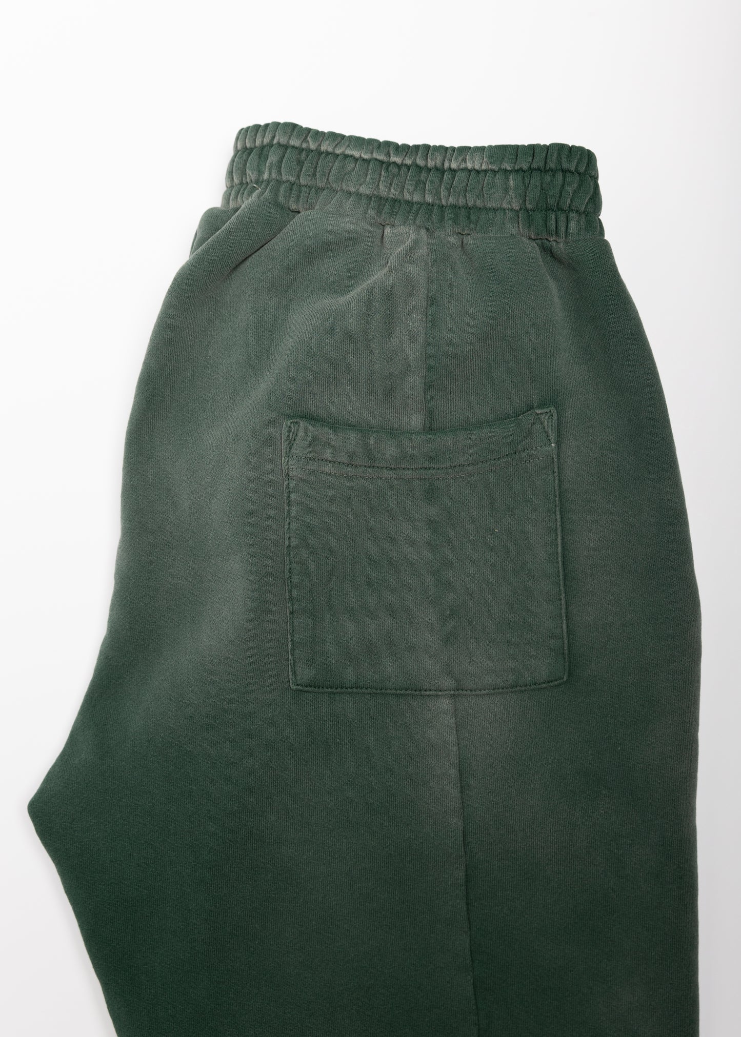 Forest Sunfaded Pleated Sweatpant