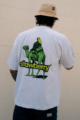 Silk Road T-Shirt - Ash