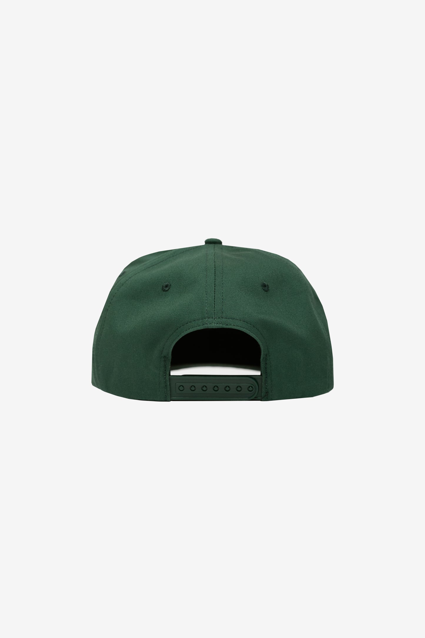 Forest Mountain Snapback