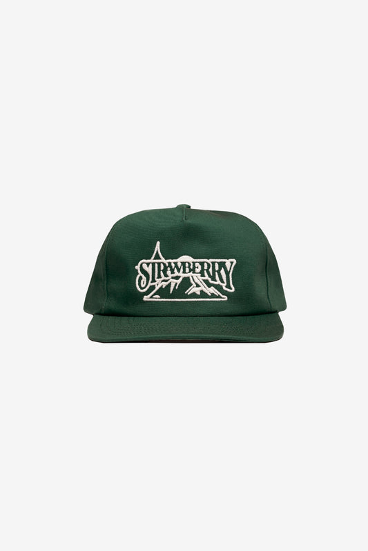 Forest Mountain Snapback