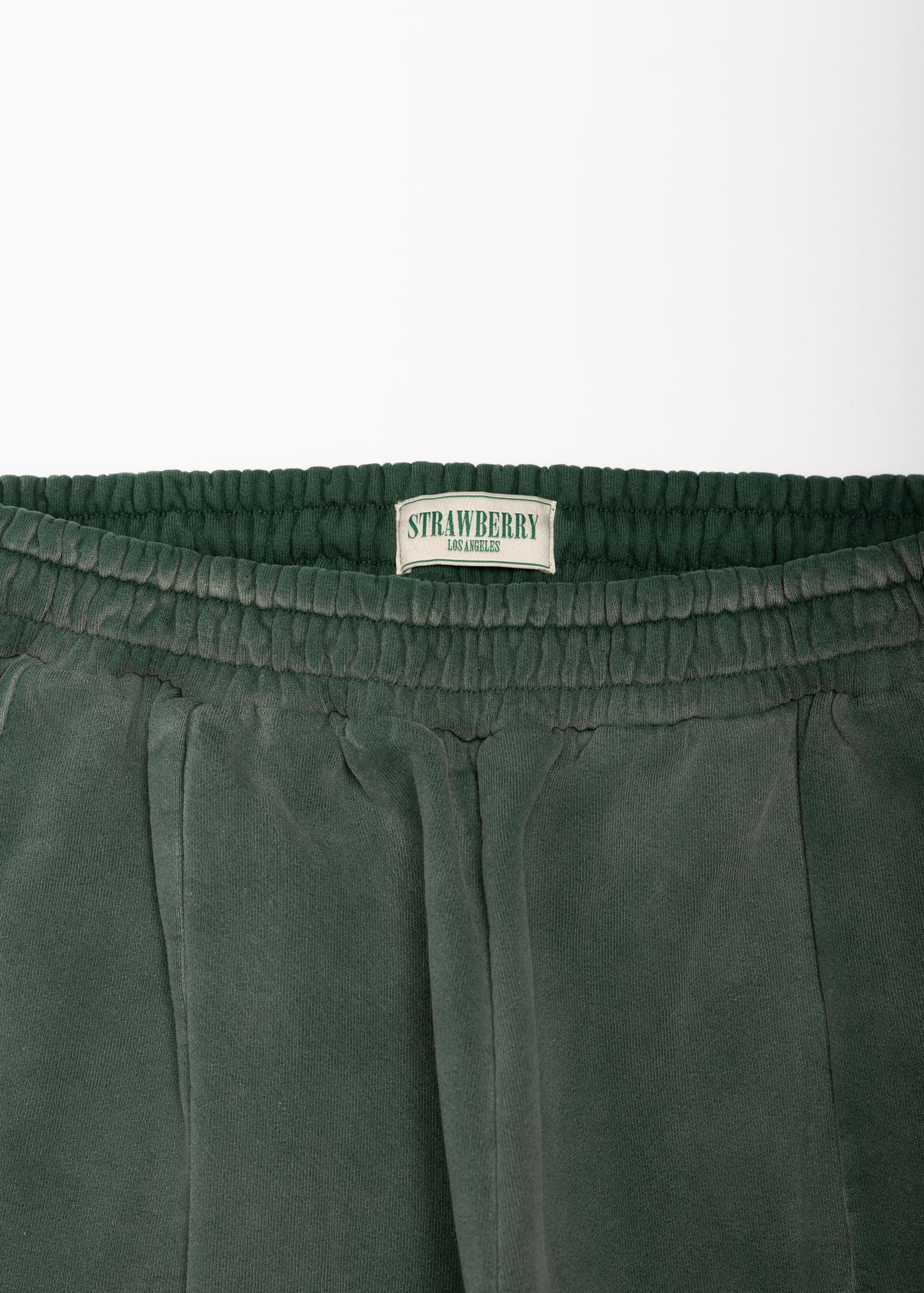 Forest Sunfaded Pleated Sweatpant
